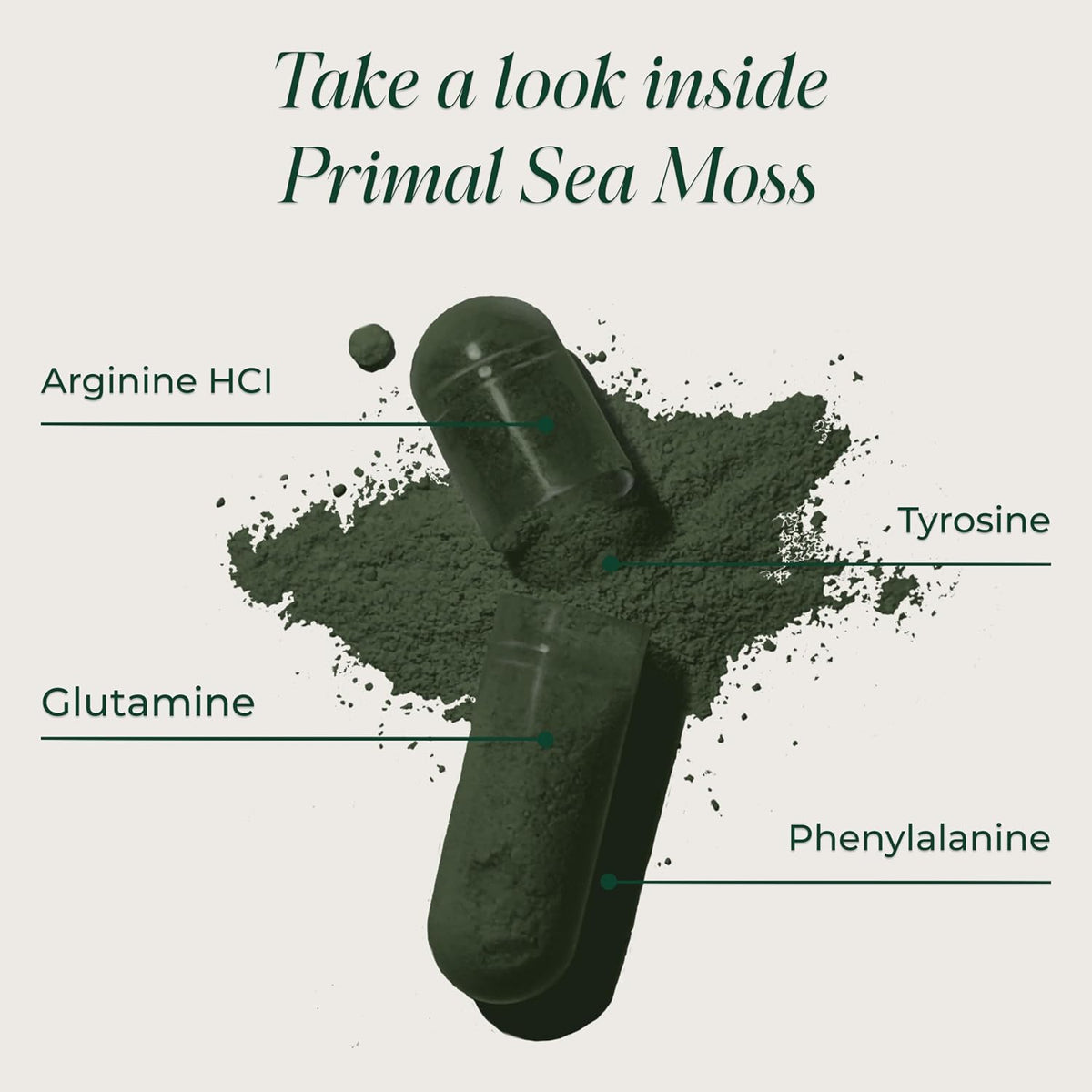 Primal Harvest Sea Moss – Daily Vegan Supplement, Dairy & Soy Free