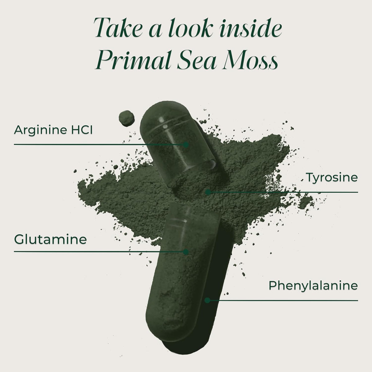 Primal Harvest Sea Moss – Daily Vegan Supplement, Dairy & Soy Free
