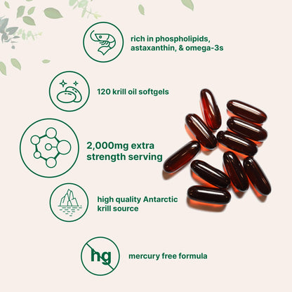 Micro Ingredients Antarctic Krill Oil Supplement 2,000mg Per Serving, 240 Softgels | Omega-3 EPA & DHA with Phospholipids & Natural Astaxanthin | No Fishy Aftertaste | Non-GMO, Gluten Free