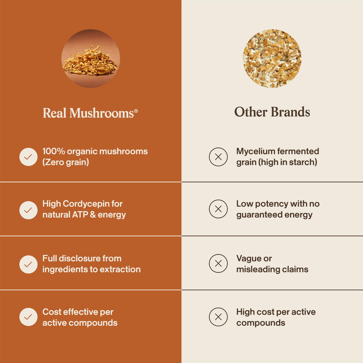 Real Mushrooms Cordyceps Mushroom Powder - Organic Cordyceps Powder Mushroom Energy and Wellness Support - Rich in Beta Glucans - Non-GMO, Vegan Supplement, 60 Servings