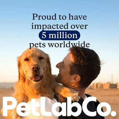 PetLab Co. Paw Balm Stick for Dogs, Dry & Cracked Paws, 2.4 Ounce | Shea butter and coconut oil in an easy, mess-free glide-on stick to support paw pad nourishment and protection