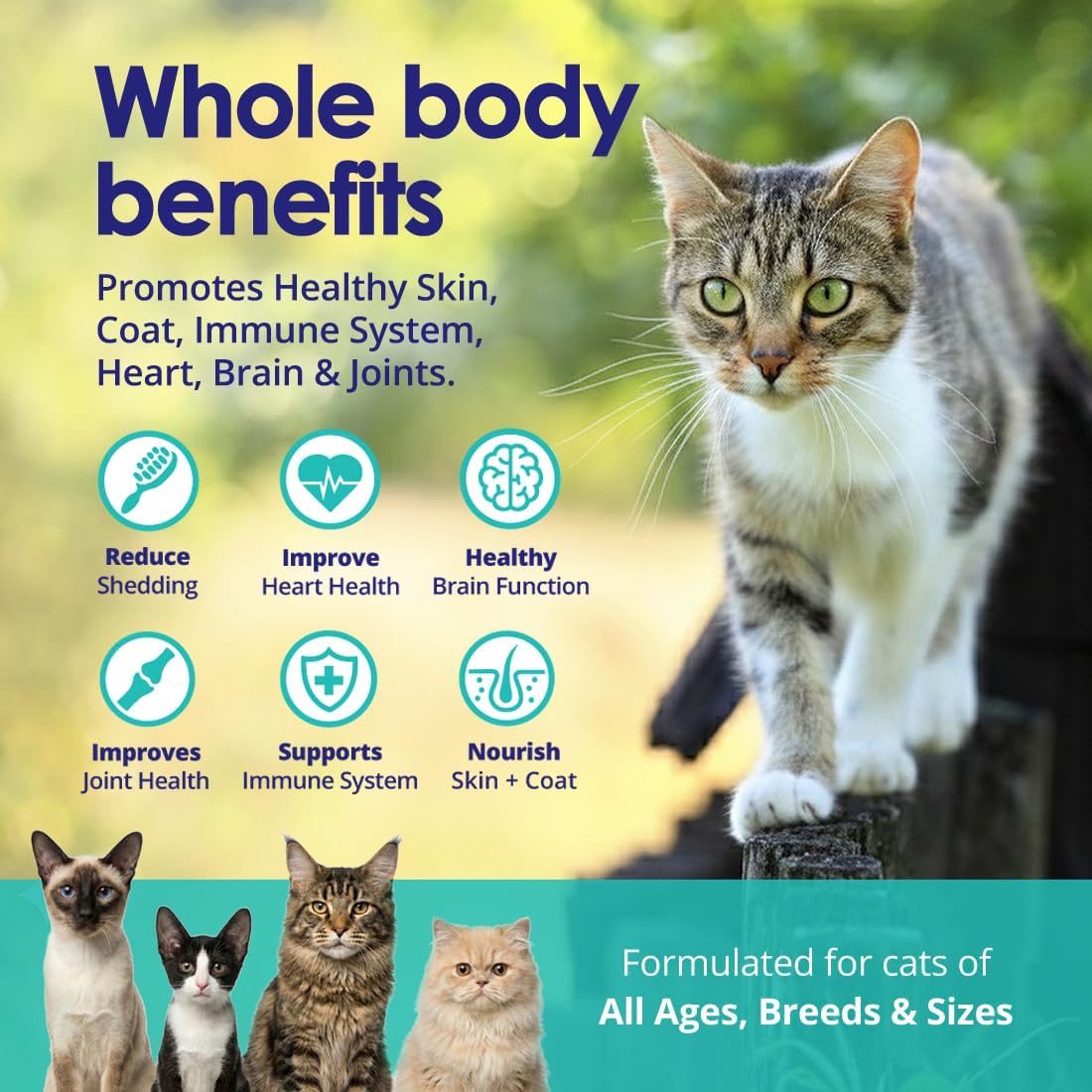 Premium Omega 3 Fish Oil for Cats - Wild Alaskan Salmon Oil Supplement for Skin and Coat - Liquid Cat Supplement for Shedding Control & Cat Dandruff