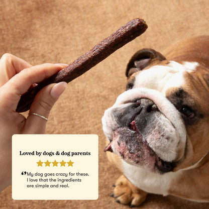 Plato Meat Sticks Salmon Dog Treats, Air-Dried High-Protein Soft Chews with Omega Fish Oil (EPA & DHA), 10 oz