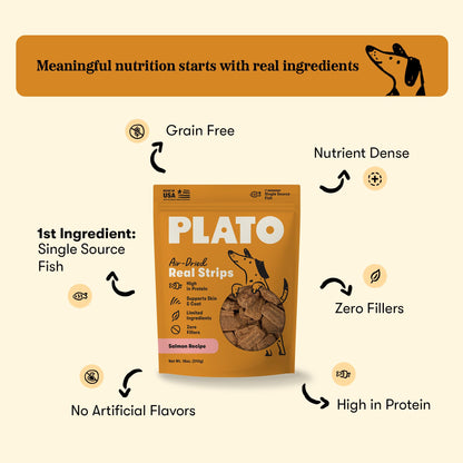 Plato Real Strips Salmon Recipe Dog Treats, Air-Dried High-Protein Soft Strips, Omega-Rich Skin & Coat Support, 18 oz