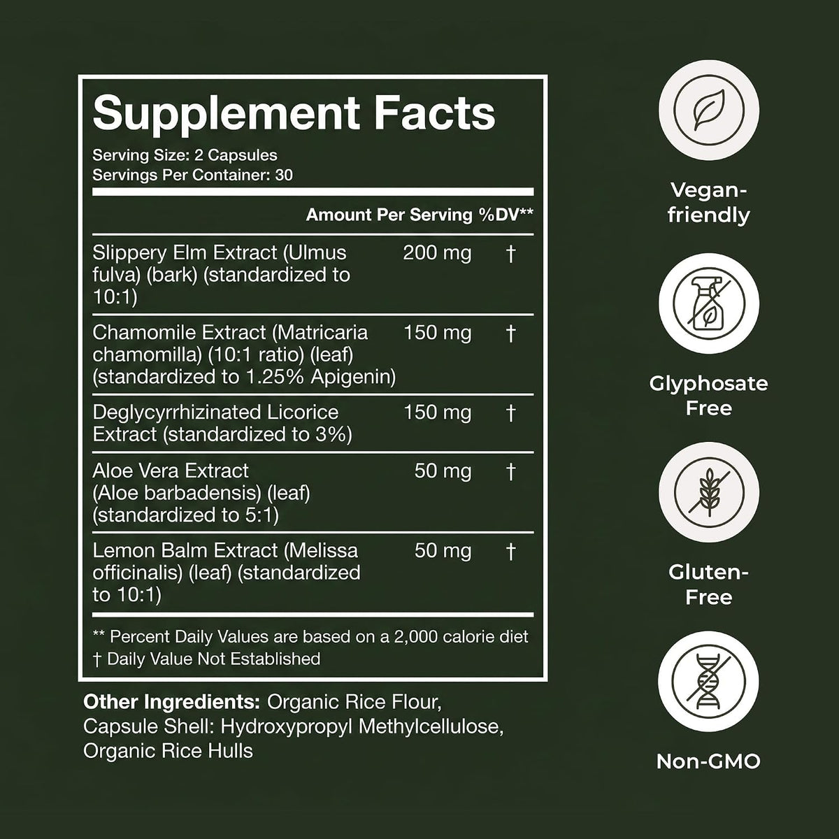 Terra Health Essentials Acid Relief - Daily Digestive Support Supplement for Gut Health & Balanced Digestion - Lemon Balm, Slippery Elm, Aloe Vera, DGL Licorice - Plant-Based & Non-GMO - 60 Capsules