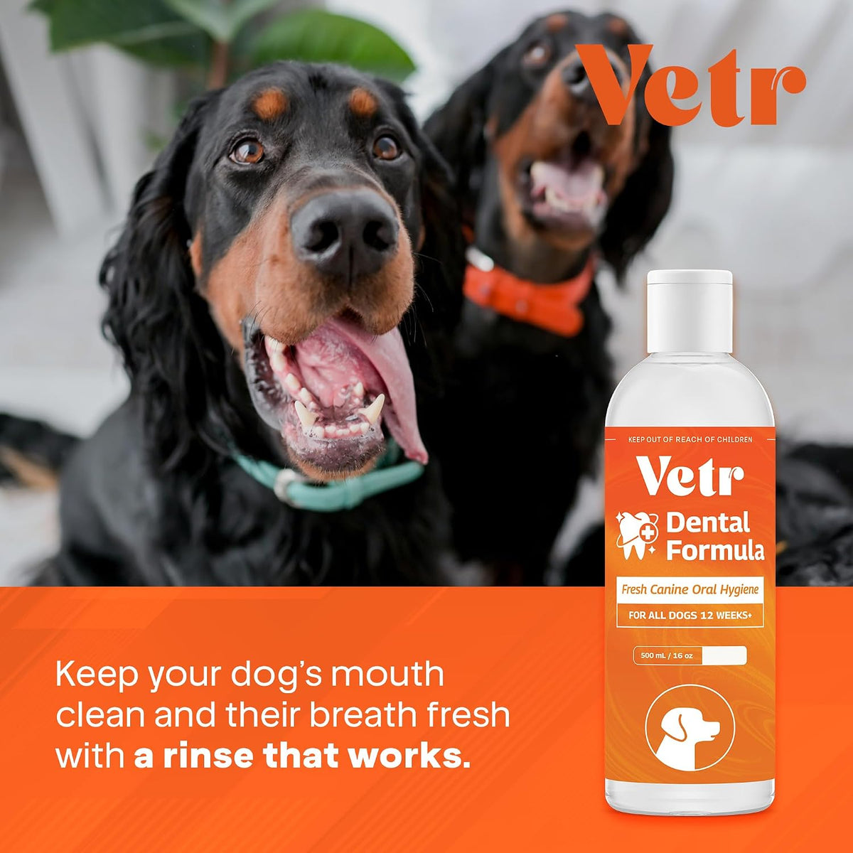 Vetr Dental Formula for Dogs - Peppermint Flavored Oral Care Liquid Additive with Enzymes for Breath and Teeth Support - Vet-Formulated in USA (16 oz)