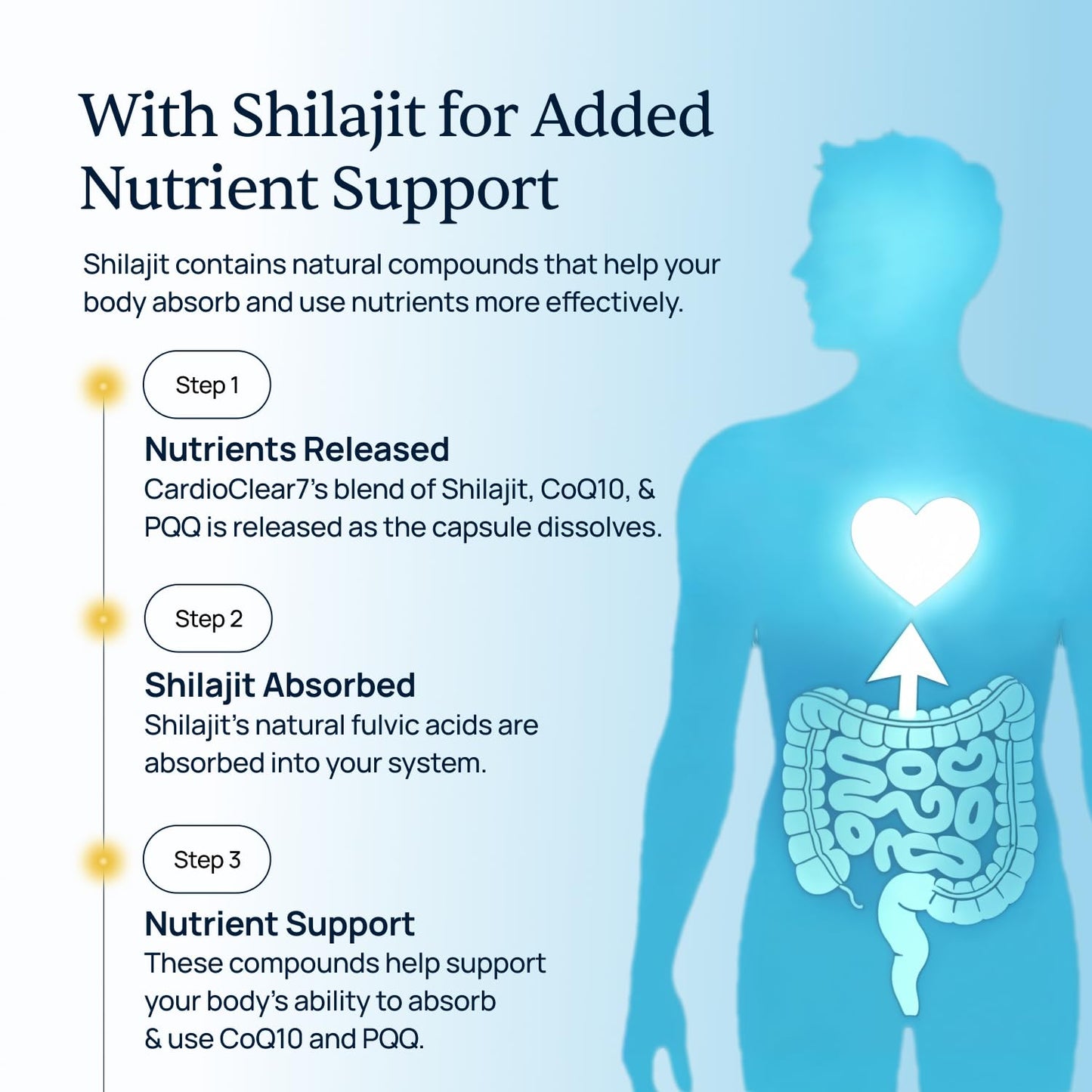 Simple Promise CardioClear7 CoQ10 with PQQ and Shilajit Supplement - Daily Heart Health, Circulation and Cellular Energy Support - Gluten Free, Non-GMO, cGMP Certified - Once Daily, 30 Capsules