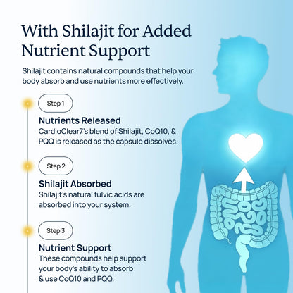 Simple Promise CardioClear7 CoQ10 with PQQ and Shilajit Supplement - Daily Heart Health, Circulation and Cellular Energy Support - Gluten Free, Non-GMO, cGMP Certified - Once Daily, 30 Capsules