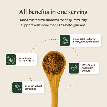 Real Mushrooms Turkey Tail Mushroom Powder – Organic Mushroom Extract for Daily Wellness Gut Harmony, & Energy Support with Beta Glucans – Vegan, Non-GMO, 45 Servings Functional Supplement