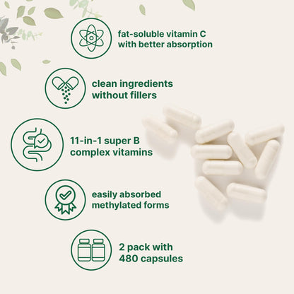 Micro Ingredients Pure Methylated B Complex Vitamins, 240 Capsules | 11-in-1 with Methylfolate, Methylcobalamin B12 & P5P + Fat-Soluble Vitamin C, Choline & Inositol. Filler Free, Non-GMO.