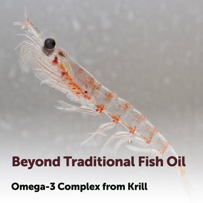 Micro Ingredients Antarctic Krill Oil Supplement 2,000mg Per Serving, 240 Softgels | Omega-3 EPA & DHA with Phospholipids & Natural Astaxanthin | No Fishy Aftertaste | Non-GMO, Gluten Free