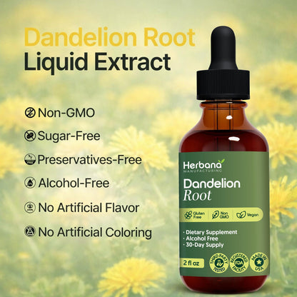 Dandelion Root 2 fl oz Liquid Extract - Natural Herbal Supplement for Cleansing, Digestive Function & Immunity - Organic Taraxacum officinale - Family Size