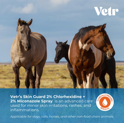 vetr Skin Relief Hydrocortisone Spray for Dogs - Topical Support for Itchy Skin and Hot Spots - 4 oz (120mL) - Vet-Formulated in USA