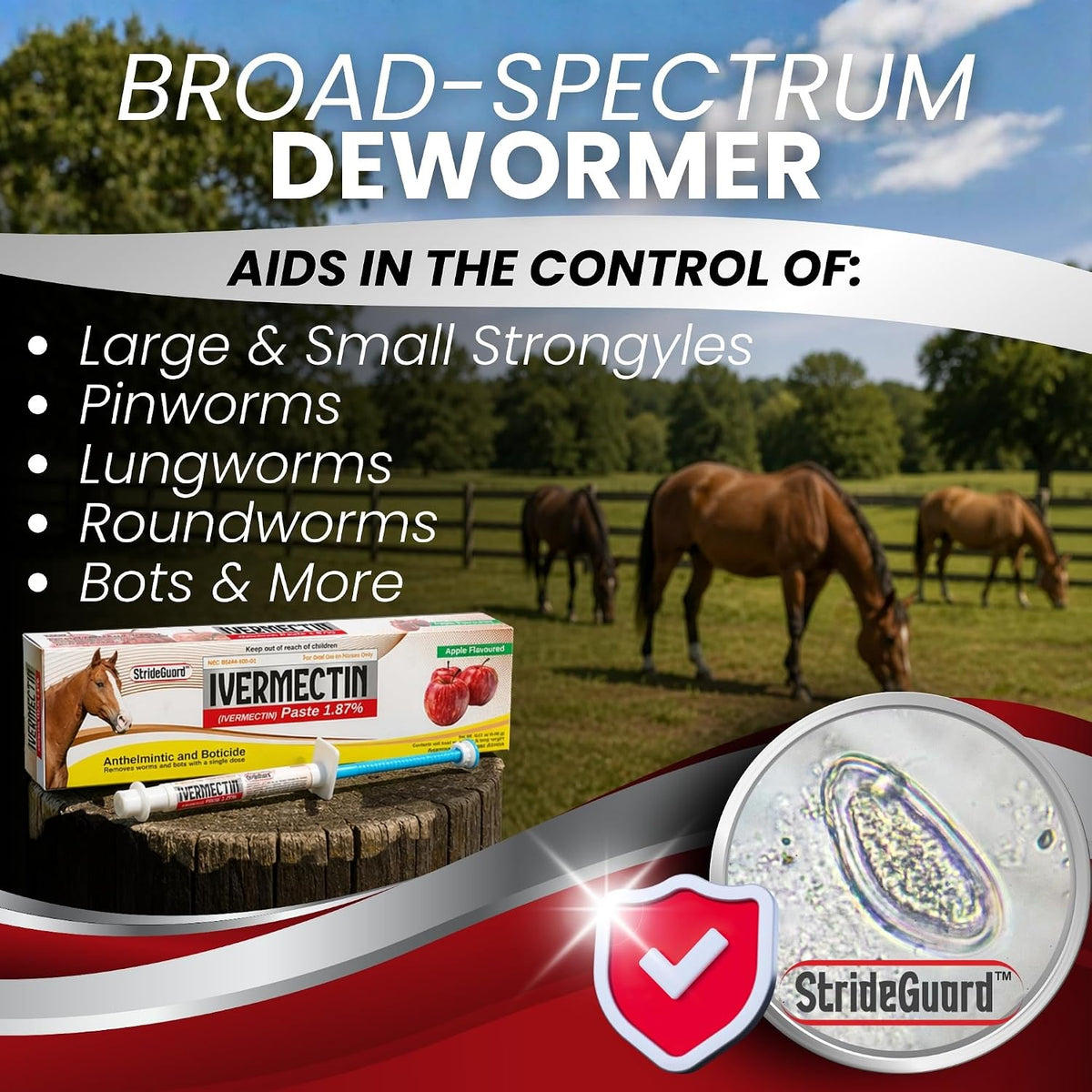 Horse Ivermectin Paste 1.87% – Apple Flavored Oral Horse Dewormer Syringe – 6.08g Tube Treats Horses Up to 1250 LB [Pack-12]