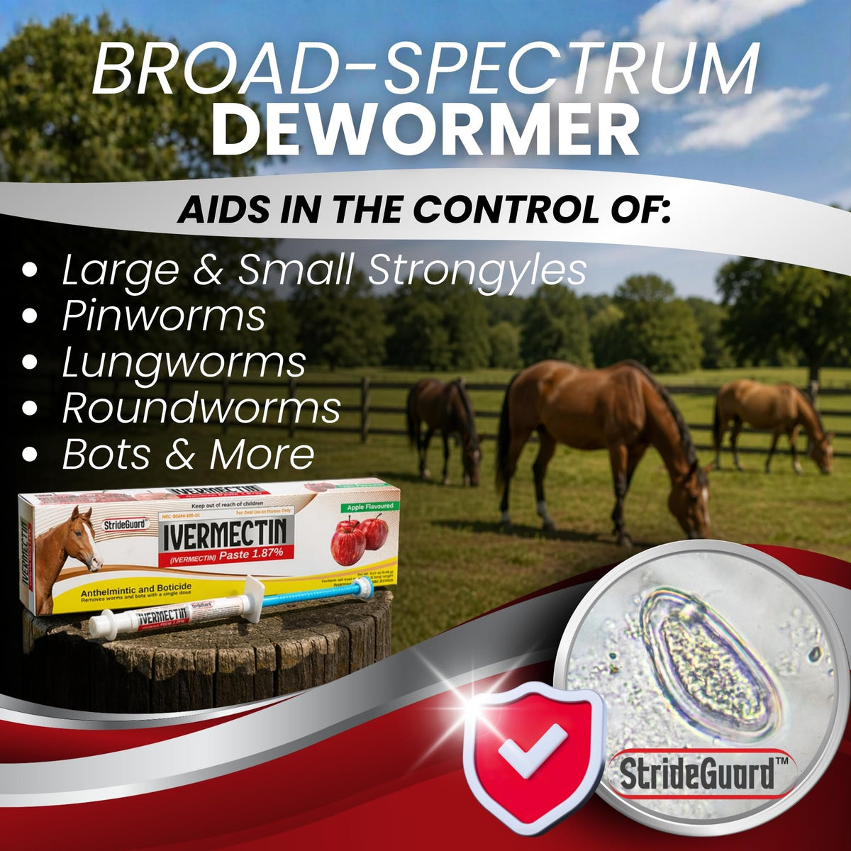 Horse Ivermectin Paste 1.87% – Apple Flavored Oral Horse Dewormer Syringe – 6.08g Tube Treats Horses Up to 1250 LB [Pack-5]