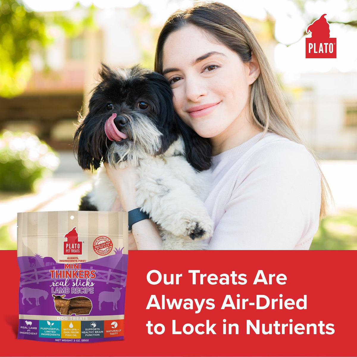Plato Meat Sticks Salmon Dog Treats, Air-Dried High-Protein Soft Chews with Omega Fish Oil (EPA & DHA), 10 oz