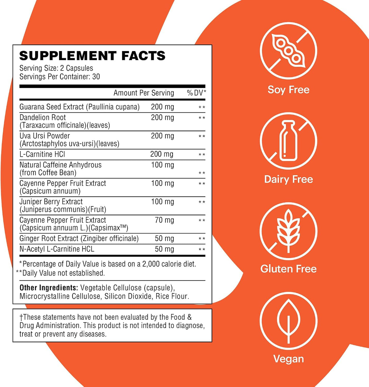 Wellthy Daily Thermogenic Capsimax, Green Tea & L-Carnitine Belly Thermogenic for Women Natural Weight Loss, Craving Control & Energy Support, 60 Count Capsules