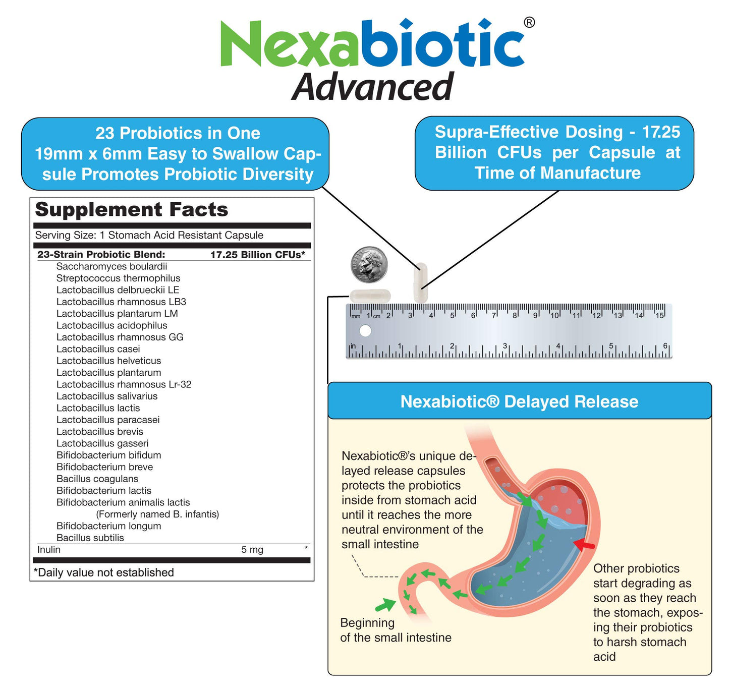 DrFormulas' Best Probiotics for Women & Men | Nexabiotic Multi Probiotic with Saccharomyces Boulardii, Lactobacillus Acidophilus, B. infantis, Prebiotic 60 Count Capsules (Not Pearls)