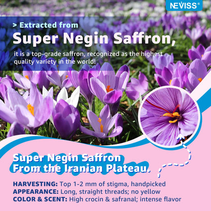 Saffron +Magnesium Glycinate +Omega-3 - Calm Focus Gummies for Kids 4+, Saffron Extract Supplement with L-Theanine, Holy Basil, Rosemary, B6, D3 for Happy Mood, Cognition, Nerve, Sugar Free, 2 Pack