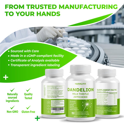 Dandelion Milk Thistle Artichoke Burdock Turmeric - Support Liver Health, Support Digestive Aid