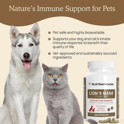 Real Mushrooms Lions Mane for Humans (120ct) and Pets (120ct) - Bundle for Cognition & Immunity - Vegan, Non-GMO, Gluten-Free, Grain-Free Mushroom Extract Supplements