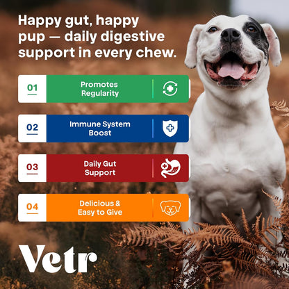 Vetr Probiotic Chews for Dogs - Chicken Flavored - Probiotics for Digestive Health - 60 Soft Chews - Vet-Formulated in USA