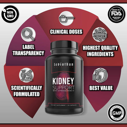 Leviathan Super Kidney Cleanse & Urinary Detox Formula | Optimal Kidney Health & Gallbladder Formula | Full Restore & Detox - Manage Kidney Stones | 120 Caps