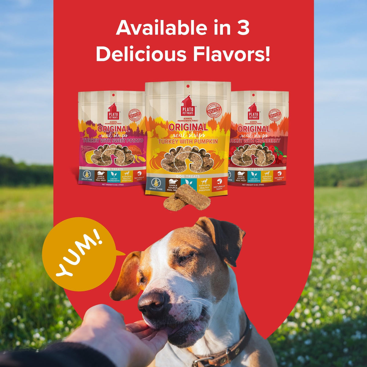 Plato Real Strips Salmon Recipe Dog Treats, Air-Dried High-Protein Soft Strips, Omega-Rich Skin & Coat Support, 18 oz