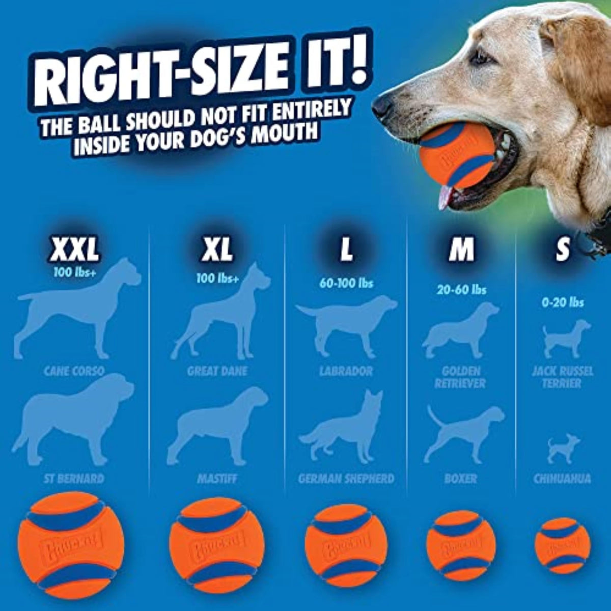 Chuckit! Ultra Ball Dog Toy, Durable Rubber, Medium 2.5-in, 2 Pack | Made from Durable Rubber with an Extra-Thick Core, This Bouncy Fetch Ball Floats in Water for Lasting Games of Fetch