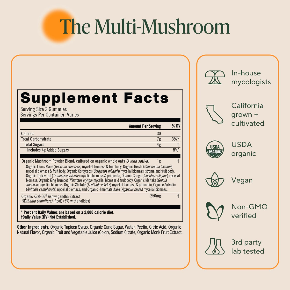 OM MUSHROOM SUPERFOOD Master Blend Mushroom Gummies – Organic 10-Mushroom Complex with Ashwagandha – Supports Immunity, Gut Health & Stress Relief – Mixed Berry Flavor – 28 Servings, 56 Count.