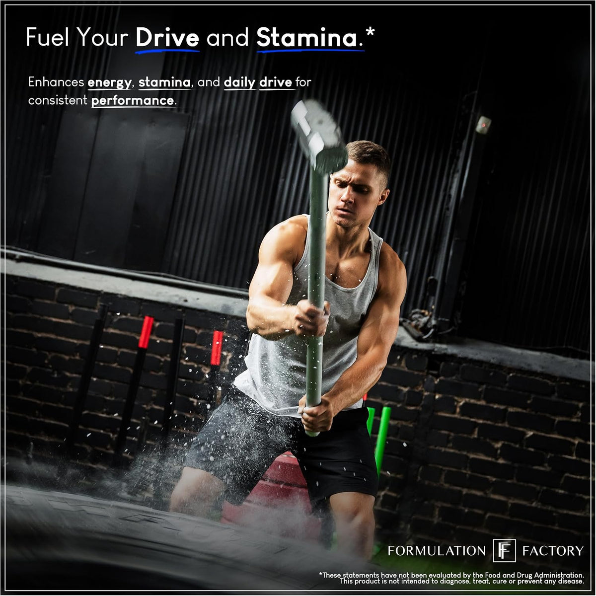 Formulation Factory Self Obsessed Shilajit Gummies x Primal Power (Bundle) – Men's Botanical & Ancestral Vitality Stack with Shilajit, Tongkat Ali, Grass-Fed Beef Liver, Heart & Bone Marrow
