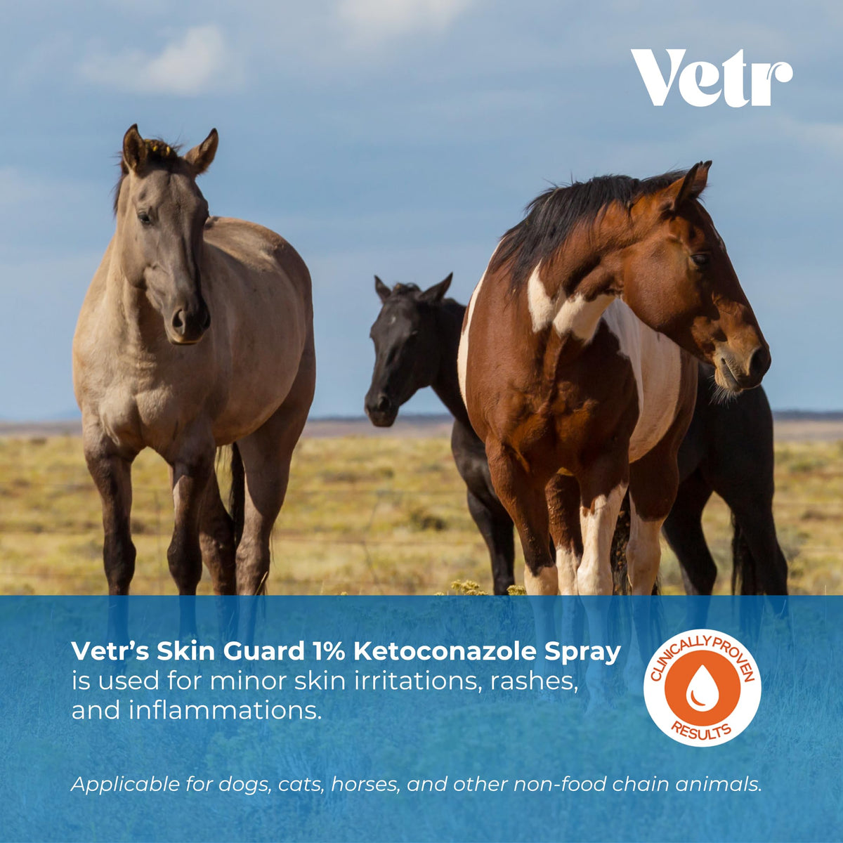 vetr Skin Relief Hydrocortisone Spray for Dogs - Topical Support for Itchy Skin and Hot Spots - 4 oz (120mL) - Vet-Formulated in USA