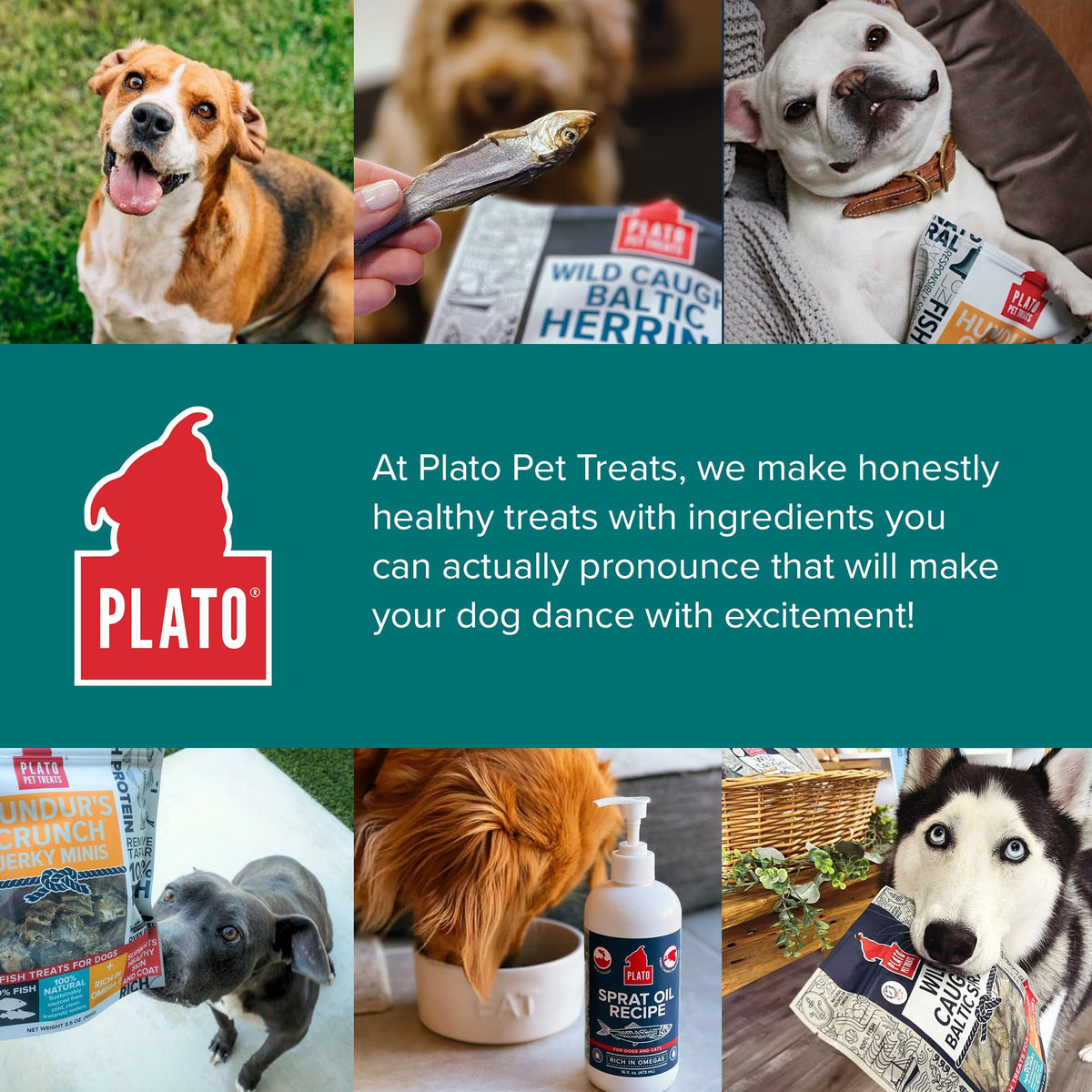 Plato Single Ingredient Wild-Caught Baltic Herring Dog Treats, Air-Dried Whole Fish, Omega-Rich Skin & Coat Support, 8.5 oz