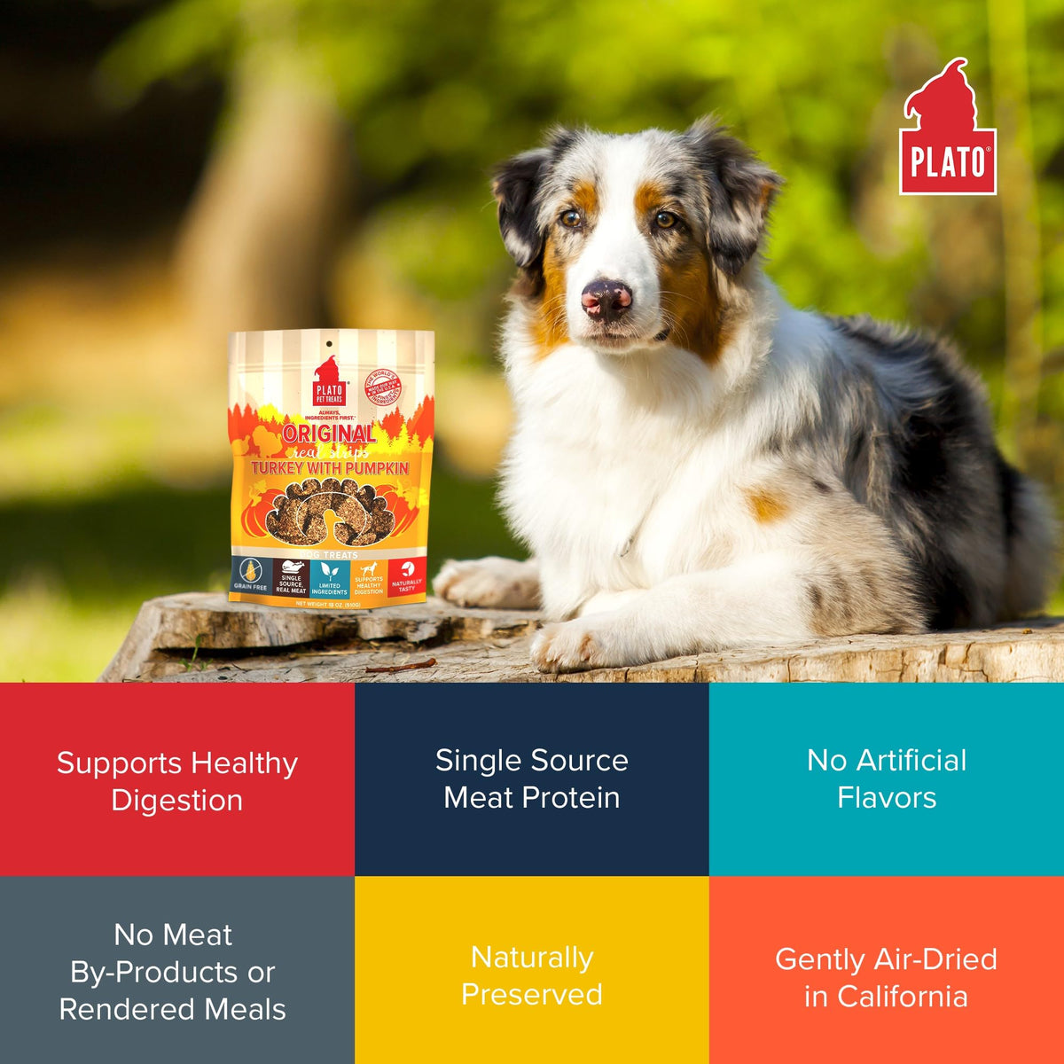 Plato Real Strips Salmon Recipe Dog Treats, Air-Dried High-Protein Soft Strips, Omega-Rich Skin & Coat Support, 18 oz