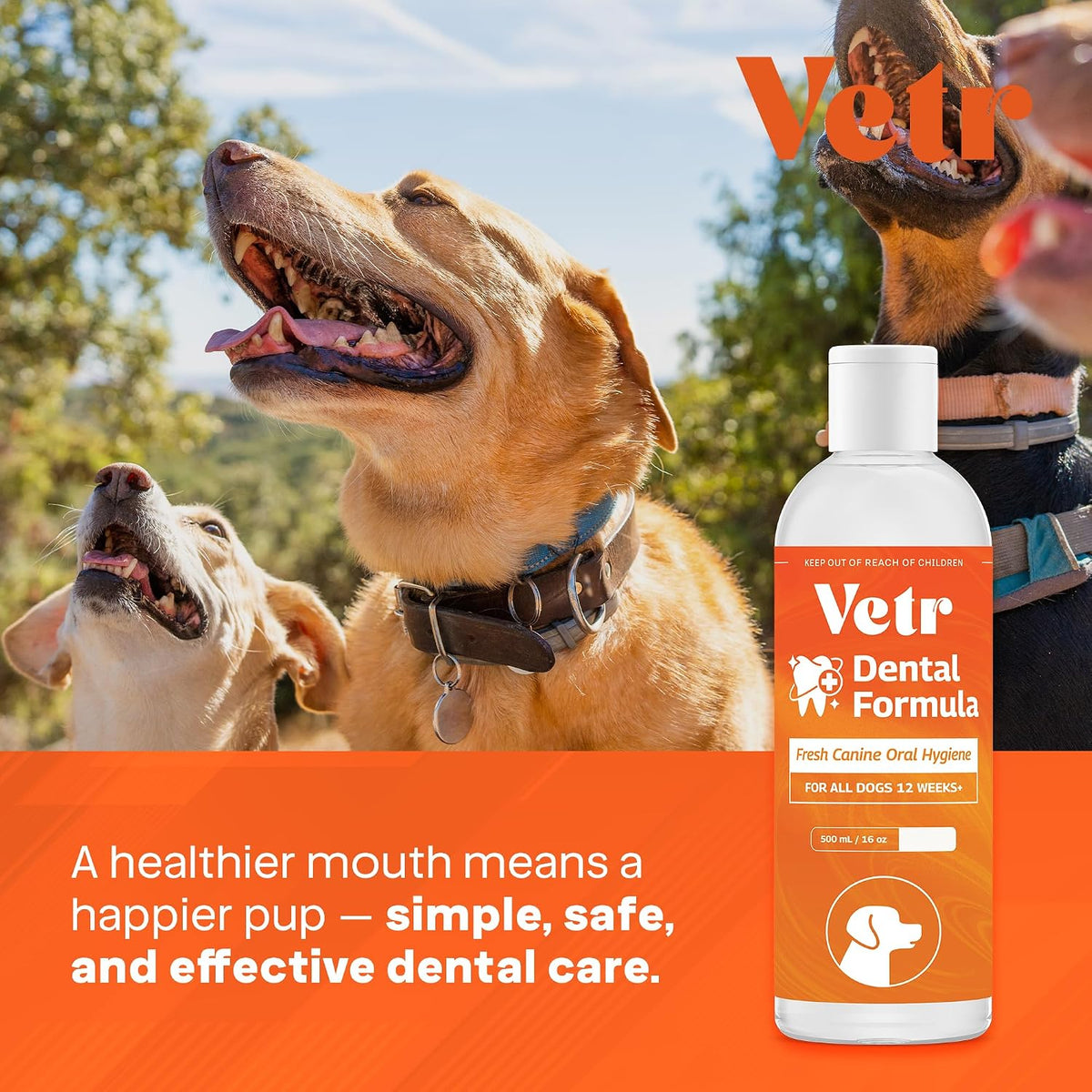 Vetr Dental Formula for Dogs - Peppermint Flavored Oral Care Liquid Additive with Enzymes for Breath and Teeth Support - Vet-Formulated in USA (16 oz)