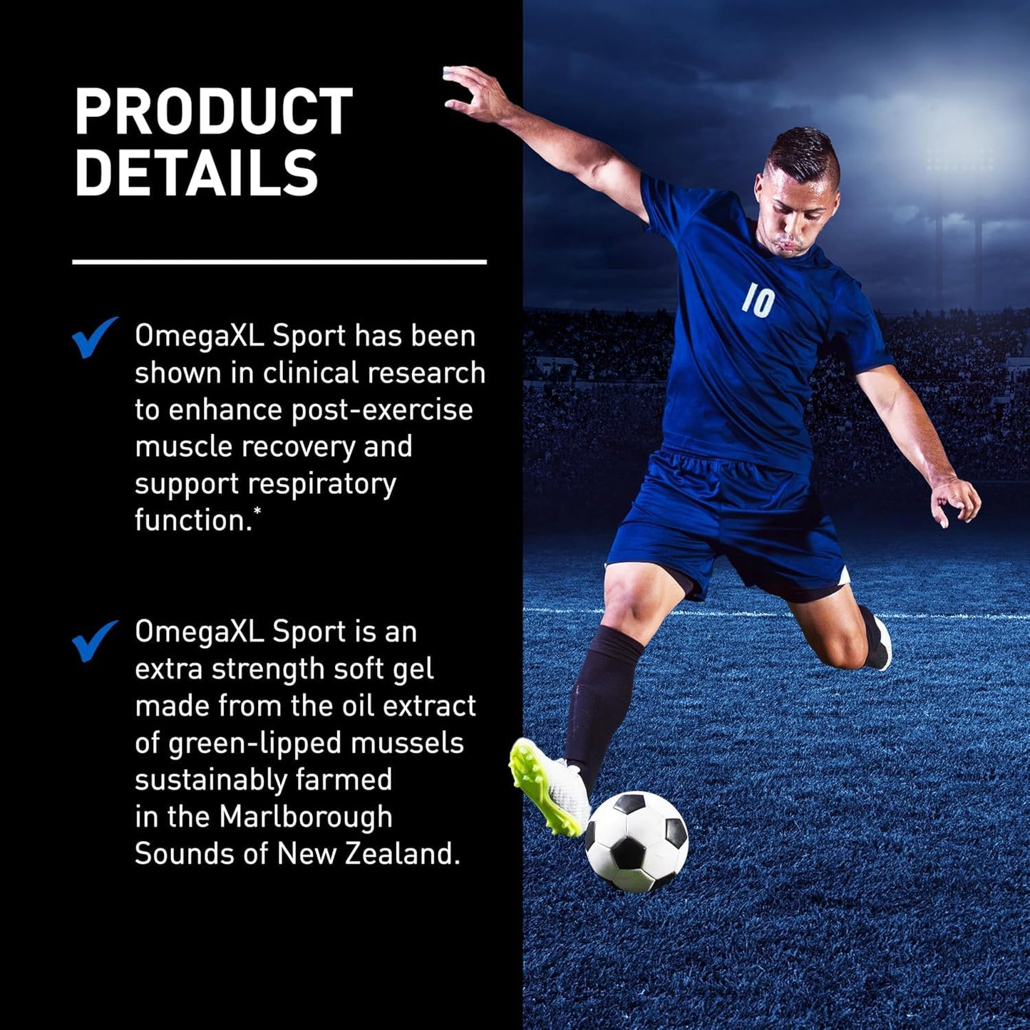 OmegaXL Sport Extra Strength Muscle Recovery Supplement and Respiratory Support Supplement - Improves DOMS and ROM, Clinically Supported Green-Lipped Mussel Oil (60 Softgels) OmegaXL buy supplements Au