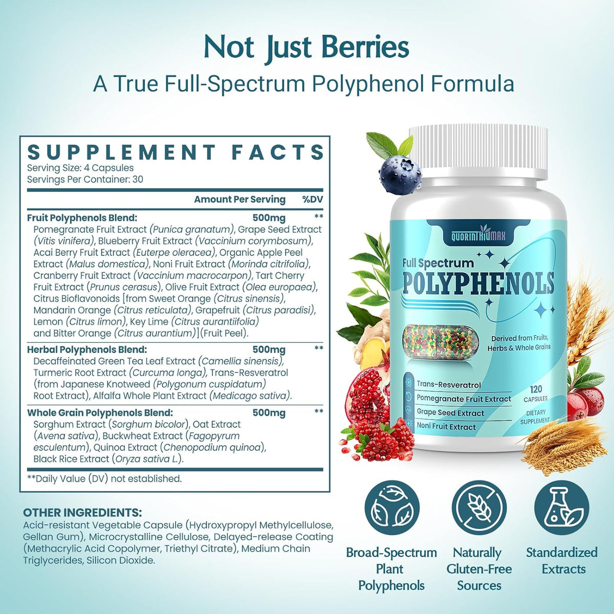 (120 Count) Polyphenols Supplement 1500mg – Over 20 Fruit, Herbal & Cereal Full Spectrum Polyphenol Complex with Resveratrol, Grape Seed & Green Tea – Tri-Color MicroBeadlets – Powerful Antioxidant