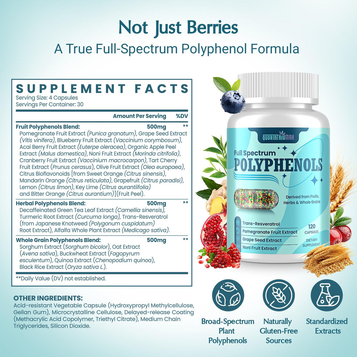 (120 Count) Polyphenols Supplement 1500mg – Over 20 Fruit, Herbal & Cereal Full Spectrum Polyphenol Complex with Resveratrol, Grape Seed & Green Tea – Tri-Color MicroBeadlets – Powerful Antioxidant