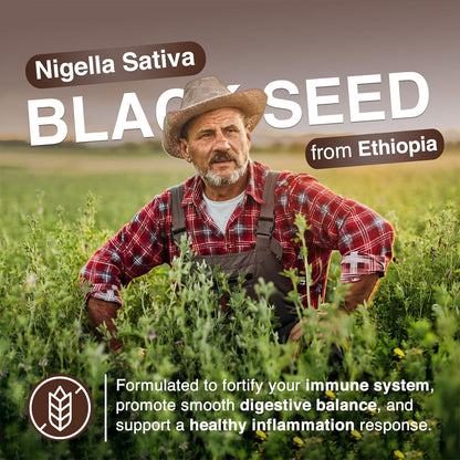 Resilia Ethiopian Black Seed Softgels 1000mg Per Serving – Premium Nigella Sativa Seed Oil Supplement – Digestive & Immune Support Formula – Easy to Swallow Soft Capsules (60 Count)