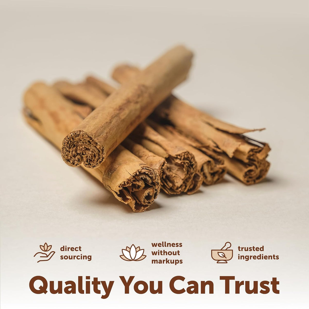 Micro Ingredients Ceylon Cinnamon, 300 Softgels | Cinnamon Supplements with MCT Oil | Non-GMO, Gluten Free | True Ceylon Cinnamon Supplements for Men & Women. Energy & Antioxidant Support*. Non-GMO, Gluten Free