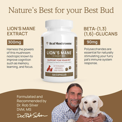 Real Mushrooms Lions Mane for Humans (120ct) and Pets (120ct) - Bundle for Cognition & Immunity - Vegan, Non-GMO, Gluten-Free, Grain-Free Mushroom Extract Supplements