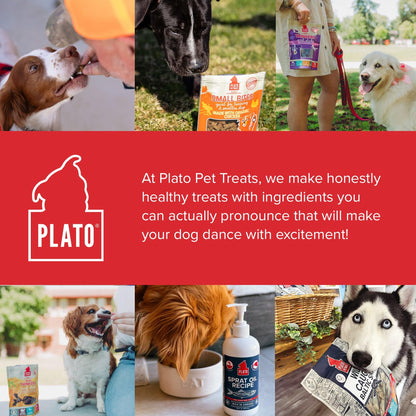 Plato Meat Sticks Salmon Dog Treats, Air-Dried High-Protein Soft Chews with Omega Fish Oil (EPA & DHA), 10 oz