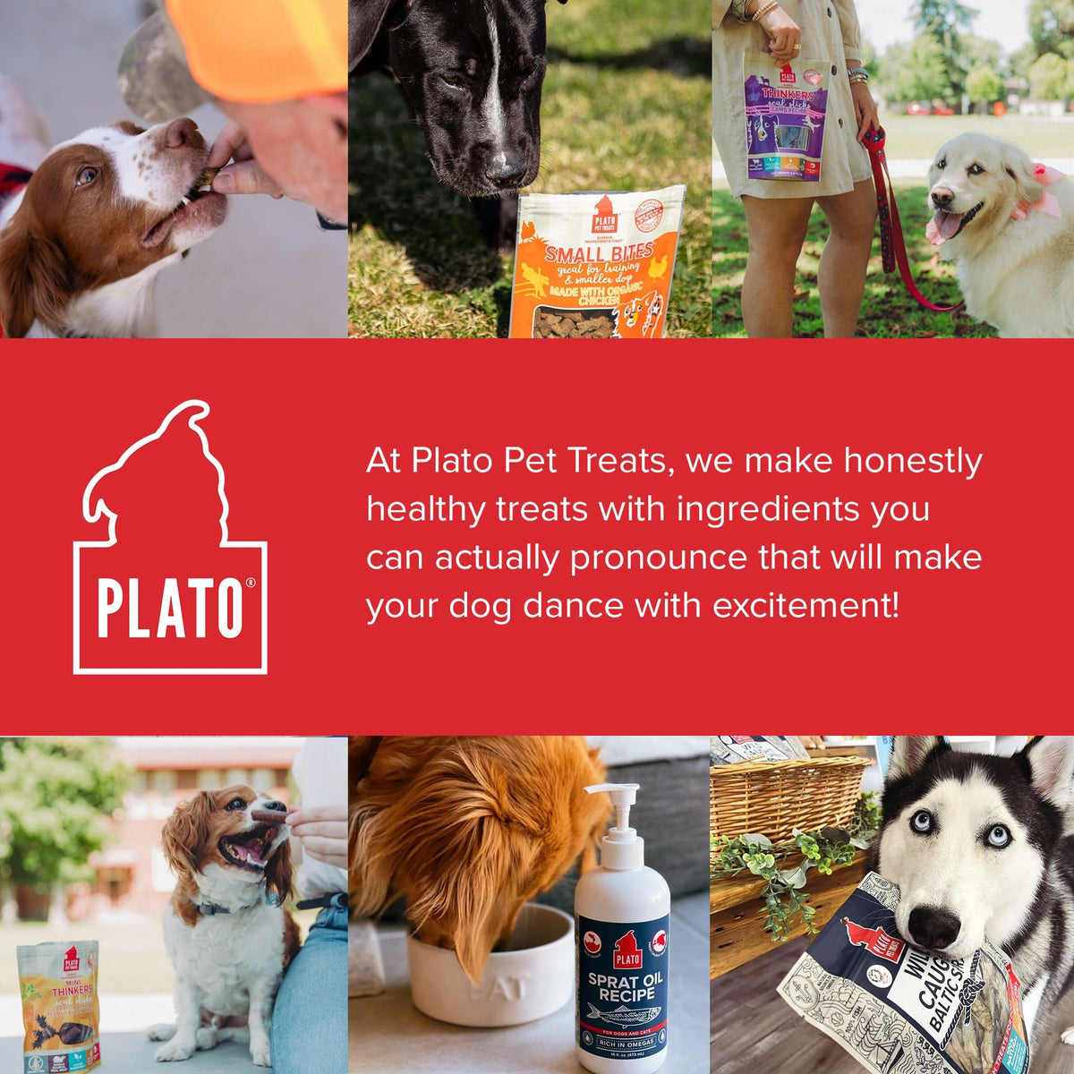 Plato Meat Sticks Salmon Dog Treats, Air-Dried High-Protein Soft Chews with Omega Fish Oil (EPA & DHA), 10 oz