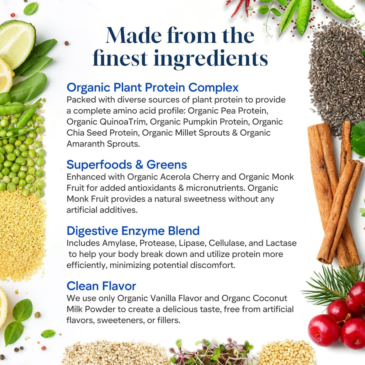 Organic Vegan Protein Powder - 20g Plant Based Protein for Women and Men, with Pea Protein, Superfood & Digestive Enzymes - Clean Protein, Gluten-Free, Gut-Friendly & Non-Bloating, Keto