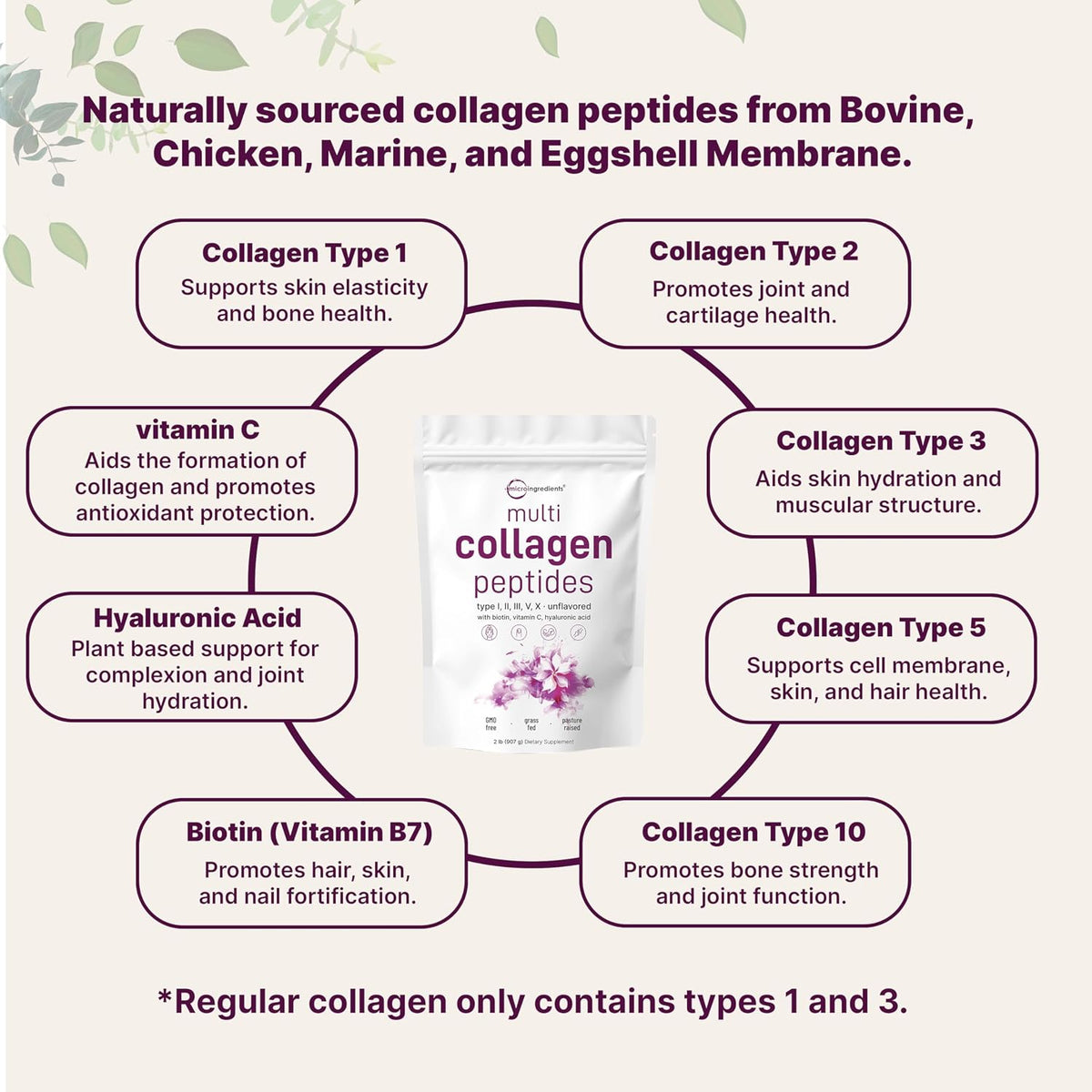 Micro Ingredients Multi Collagen Protein Powder 2 Pounds & Instant Colostrum Powder Bundle 2 Pack | Grass-Fed Collagen Peptides | Premium Bovine Mother’s First Milk