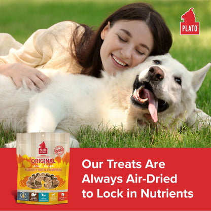 Plato Real Strips Salmon Recipe Dog Treats, Air-Dried High-Protein Soft Strips, Omega-Rich Skin & Coat Support, 18 oz