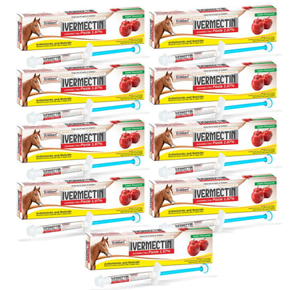 Horse Ivermectin Paste 1.87% – Apple Flavored Oral Horse Dewormer Syringe – 6.08g Tube Treats Horses Up to 1,250 lbs [Pack-1]