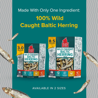 Plato Single Ingredient Wild-Caught Baltic Herring Dog Treats, Air-Dried Whole Fish, Omega-Rich Skin & Coat Support, 8.5 oz