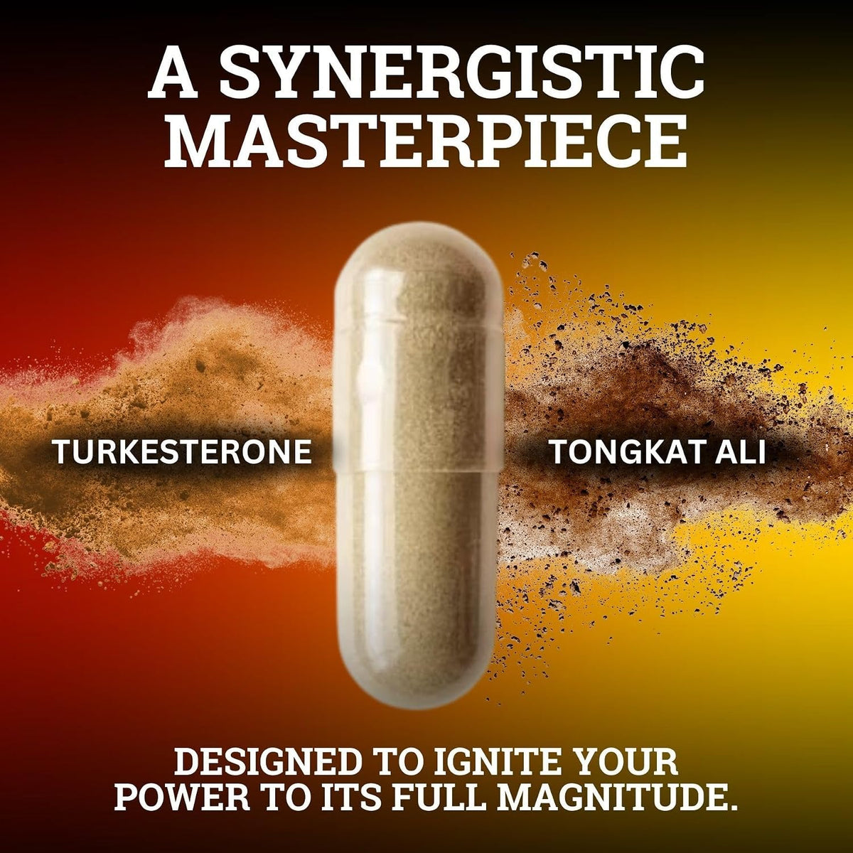Black Forest Turkesterone Tongkat Ali Supplement 1000mg per Serving (Max Purity 95%) Turkesterone Supplement for Men (Tongkat Ali for Men Longjack 200:1) Similar to Tongkat Ali Fadogia Agrestis