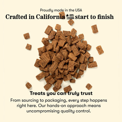 Plato Real Strips Salmon Recipe Dog Treats, Air-Dried High-Protein Soft Strips, Omega-Rich Skin & Coat Support, 18 oz